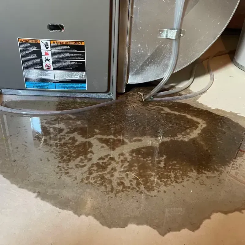 Appliance Leak Cleanup in Krum, TX